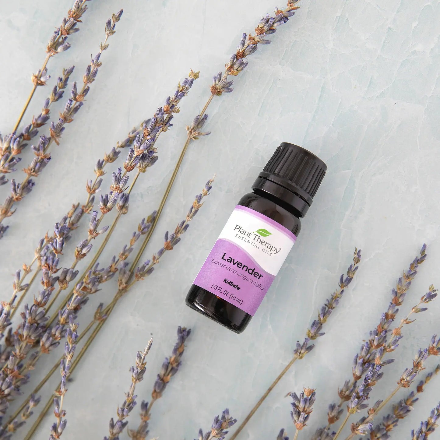 Lavender Essential Oil 10 mL