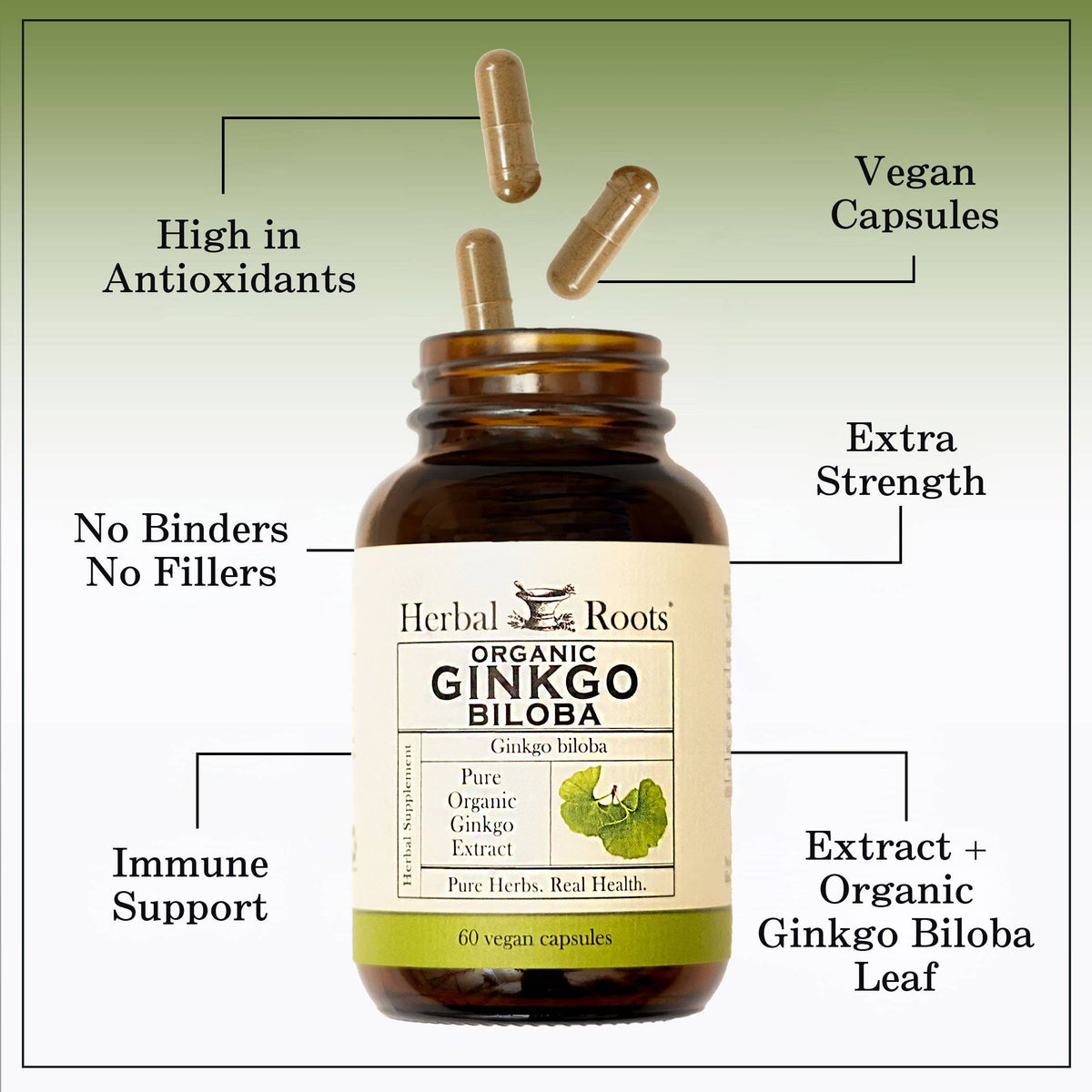 Organic Ginkgo Biloba