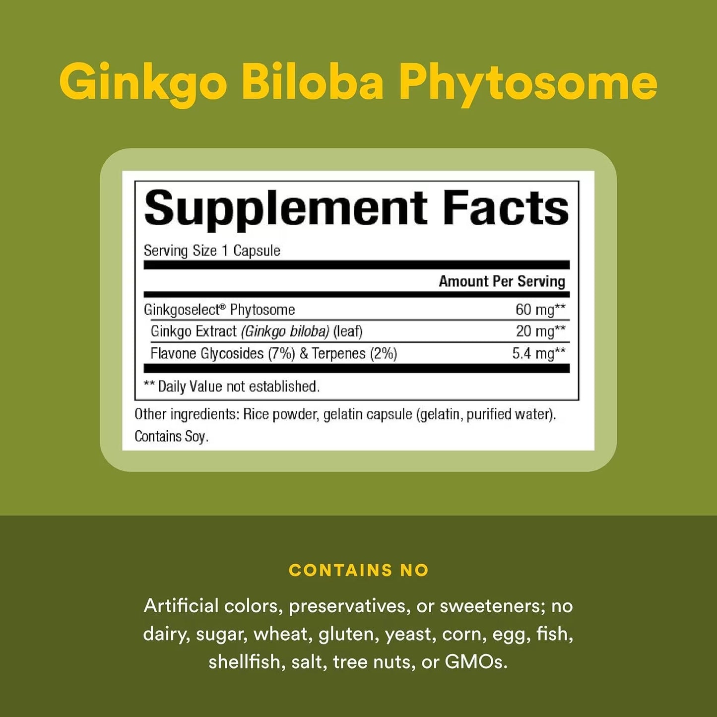 Ginkgo Biloba Phytosome (60)