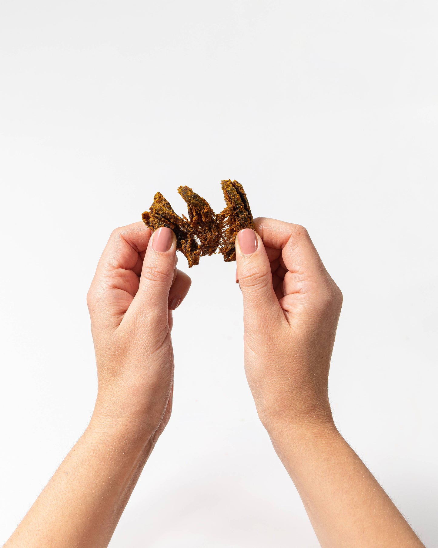 Pan's Mushroom Jerky - 2.2oz Curry