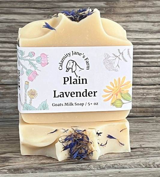 Plain Lavender Goat Milk + Tallow  Soap
