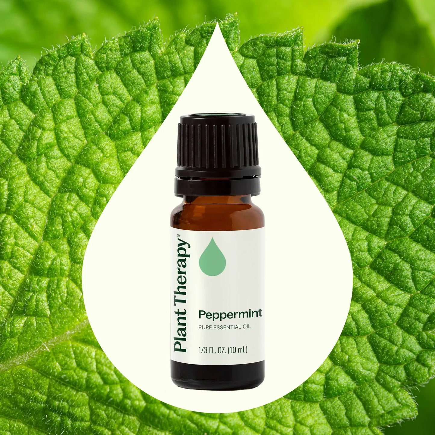 Peppermint Essential Oil 10 mL