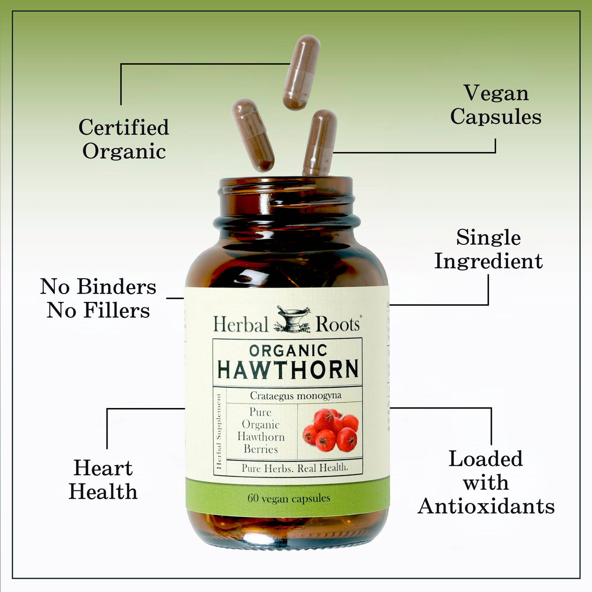 Organic Hawthorn Berry