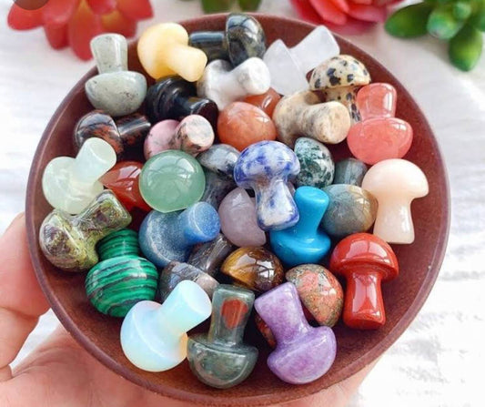 Mystery Mini Crystal Mushrooms Bulk lot Crystal Mushrooms