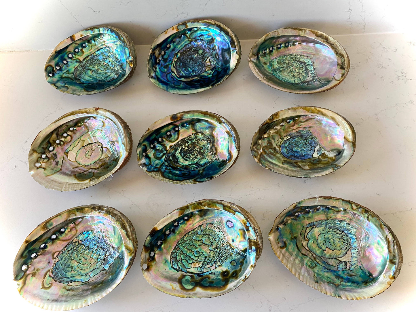 Abalone Shell Smudge Bowls (Medium): Medium