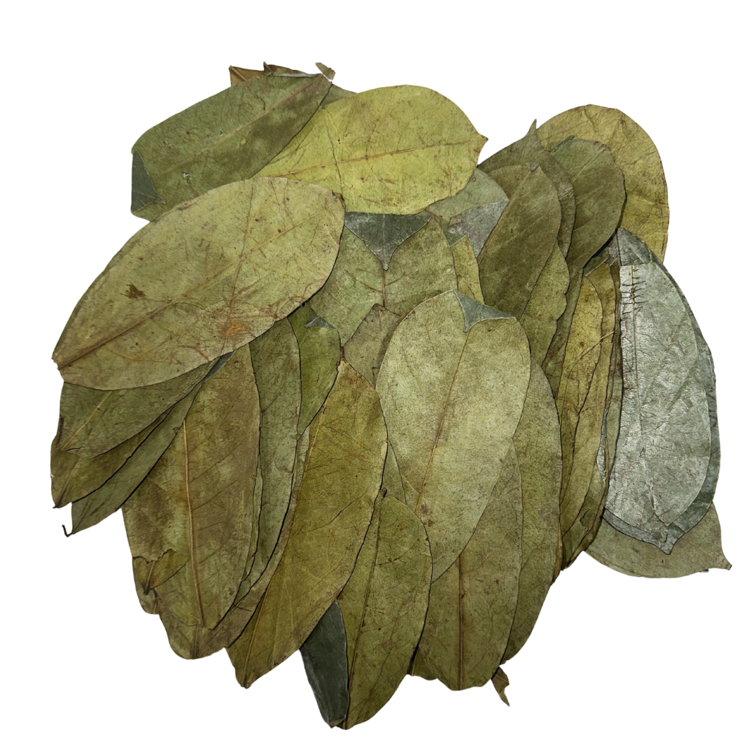 Soursop Leaf 50 Grams  - Approximately 80 leaves
