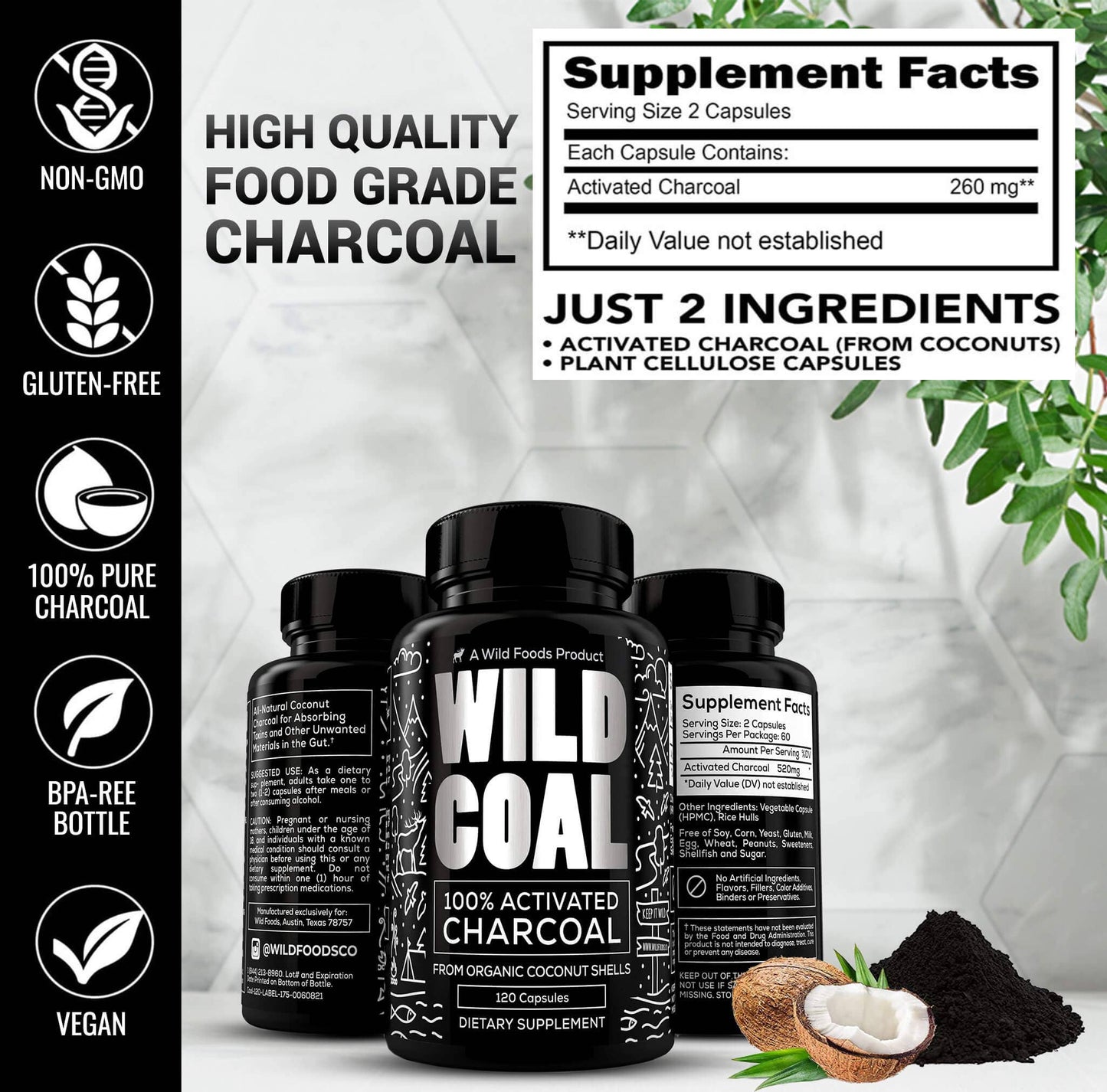 Activated Charcoal Capsules, 100ct Case of 12