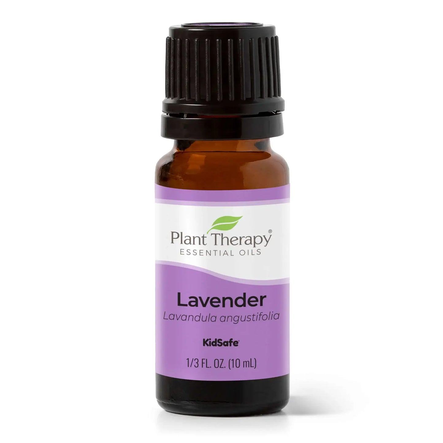 Lavender Essential Oil 10 mL
