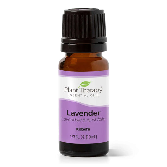 Lavender Essential Oil 10 mL