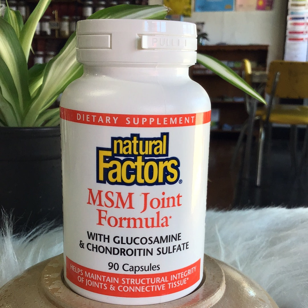 MSM Joint Formula 300 mg GLS, 300 mg MSM, 240 mg Chondroitin